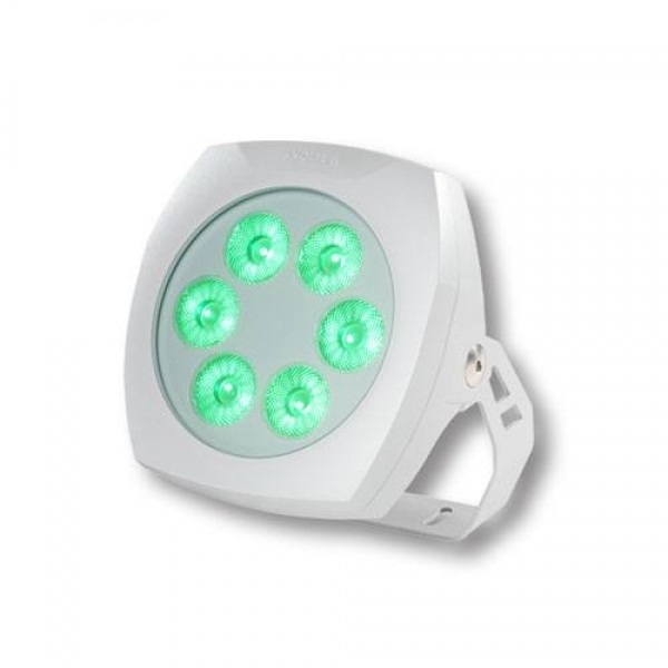 Anolis- ArcSource Outdoor 24MC