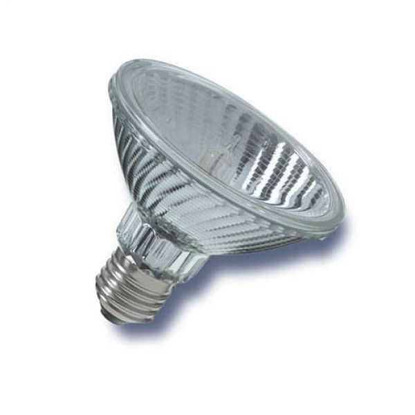 Radium- Par 30 FL 100W 240V